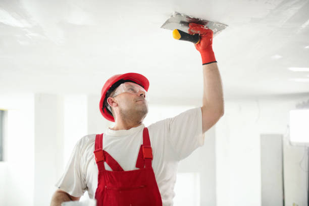 Best Drywall Sanding and Smoothing  in Finley, WA